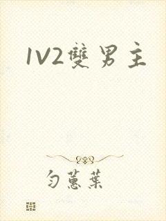 1V2双男主