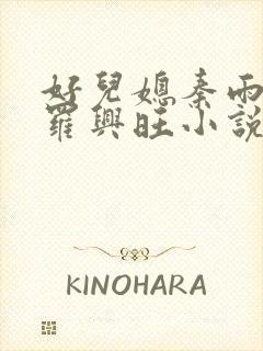 好儿媳秦雨罗明罗兴旺小说封面