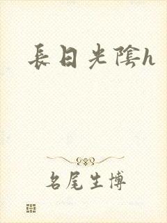 长日光阴h