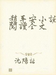 赵平安小说免费阅读全文