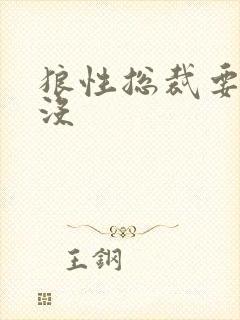 狼性总裁要够了没