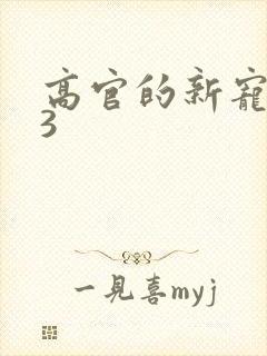 高官的新宠1V3封面