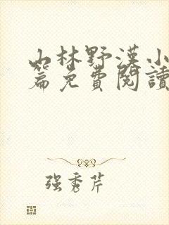 山林野汉小说全篇免费阅读