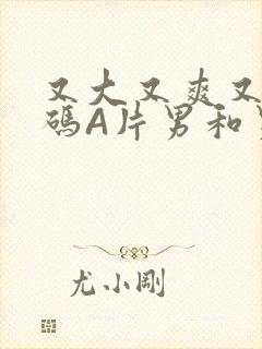 又大又爽又黄无码A片男和男封面