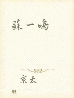 苏一鸣封面