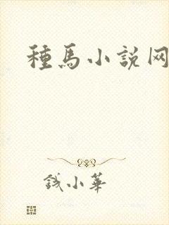 种马小说网封面