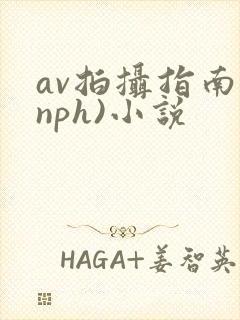 av拍摄指南(nph)小说封面