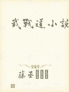 武战道小说