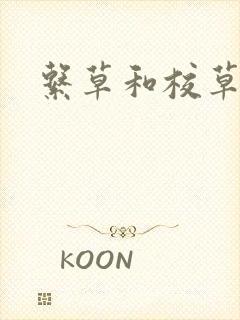 系草和校草封面