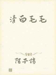 清白毛毛封面