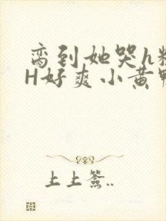 脔到她哭h粗话H好爽小黄鸭视频