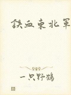 铁血东北军