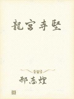 龙宫寺坚封面