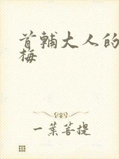 首辅大人的小青梅封面