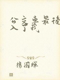 公交车最后一排入了我