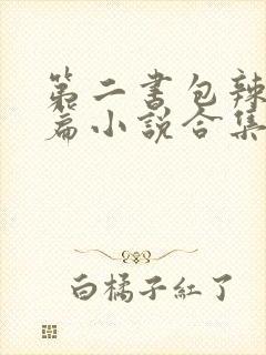 第二书包辣网短篇小说合集封面