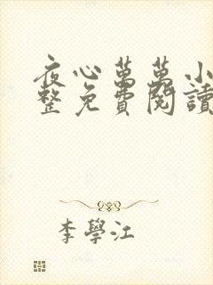夜心万万小说完整免费阅读全文