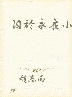 囚于永夜小说封面