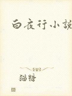 白夜行小说下载