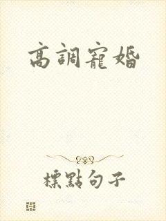 高调宠婚封面