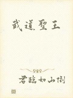 武道圣王封面