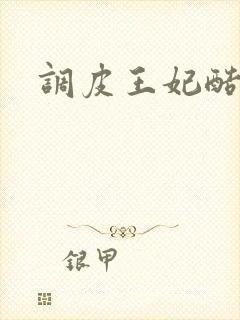 调皮王妃酷王爷