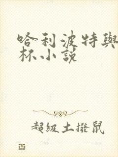 哈利波特与火焰杯小说