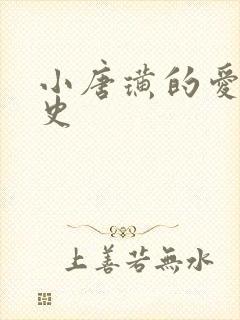 小唐璜的爱情历史