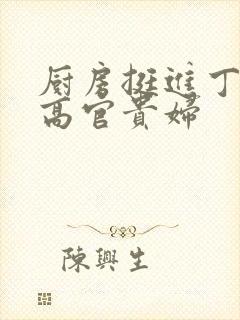 厨房挺进丁字裤高官贵妇