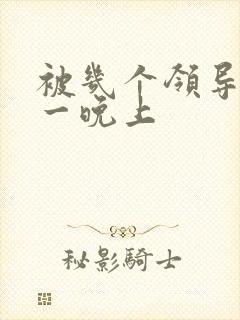 被几个领导玩弄一晚上