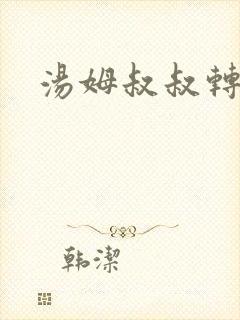 汤姆叔叔转接口