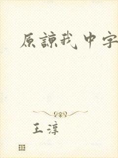 原谅我中字