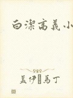 白洁高义小说
