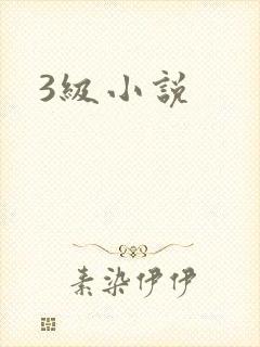 3级小说
