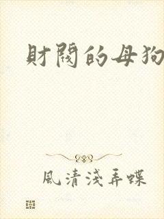 财阀的母狗们