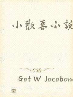 小欢喜小说封面