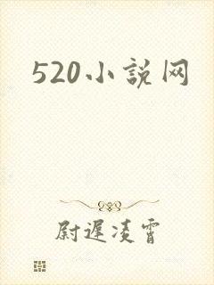 520小说网