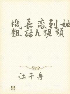 机长脔到她哭h粗话h视频