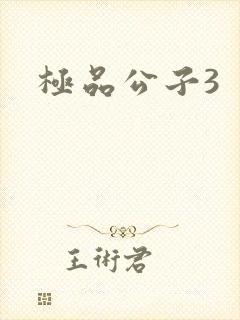 极品公子3