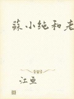 苏小纯和老苏封面