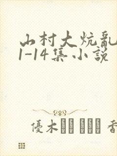 山村大炕乱肉续1-14集小说封面