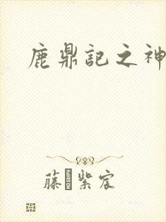 鹿鼎记之神龙教封面