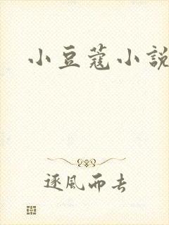 小豆蔻小说