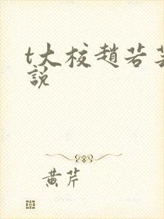 t大校赵若芸小说
