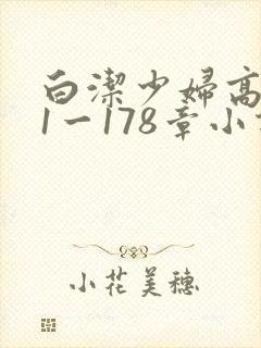 白洁少妇高义第1一178章小说封面