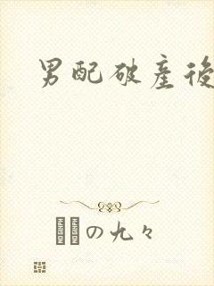 男配破产后封面