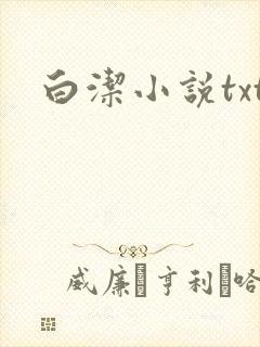 白洁小说txt封面