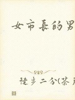 女市长的男秘书