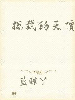 总裁的天价宠妻封面