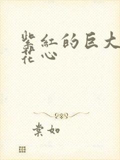 紫红的巨大顶开花心